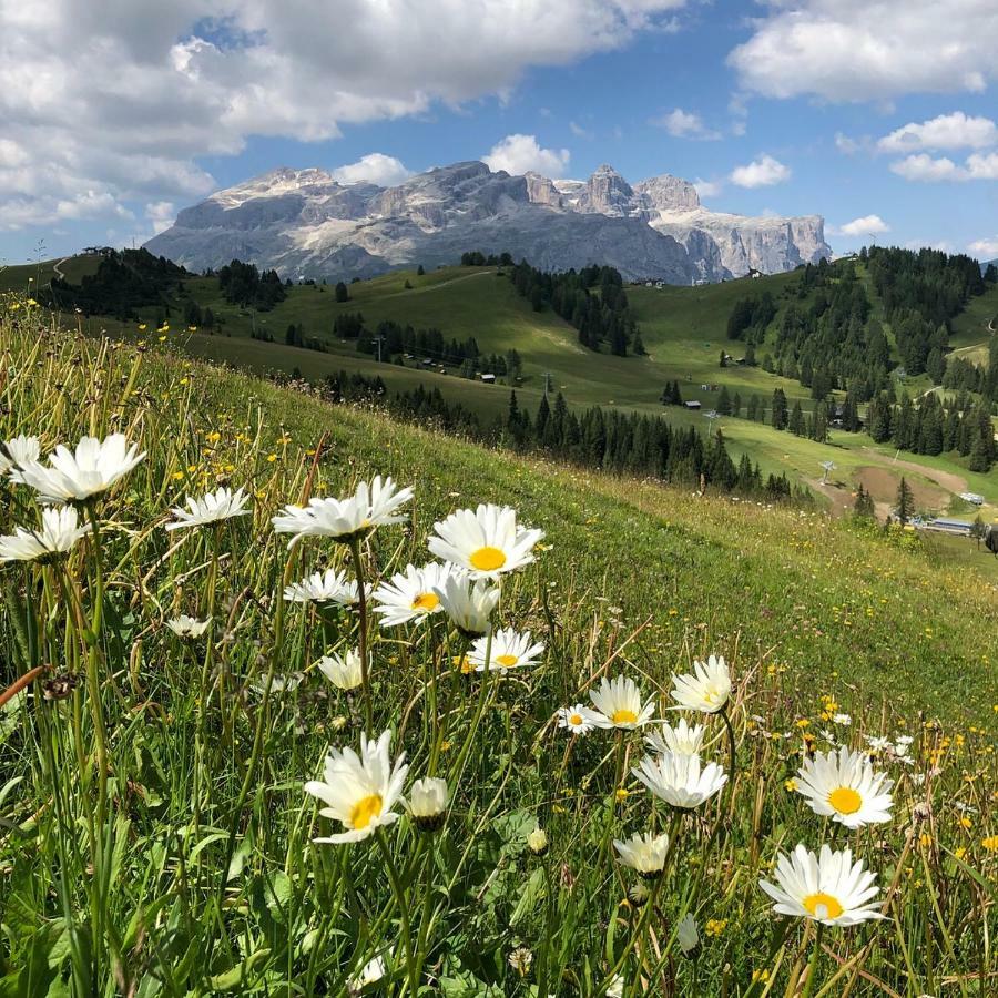 Chalet Madrisa Corvara Zewnętrze zdjęcie